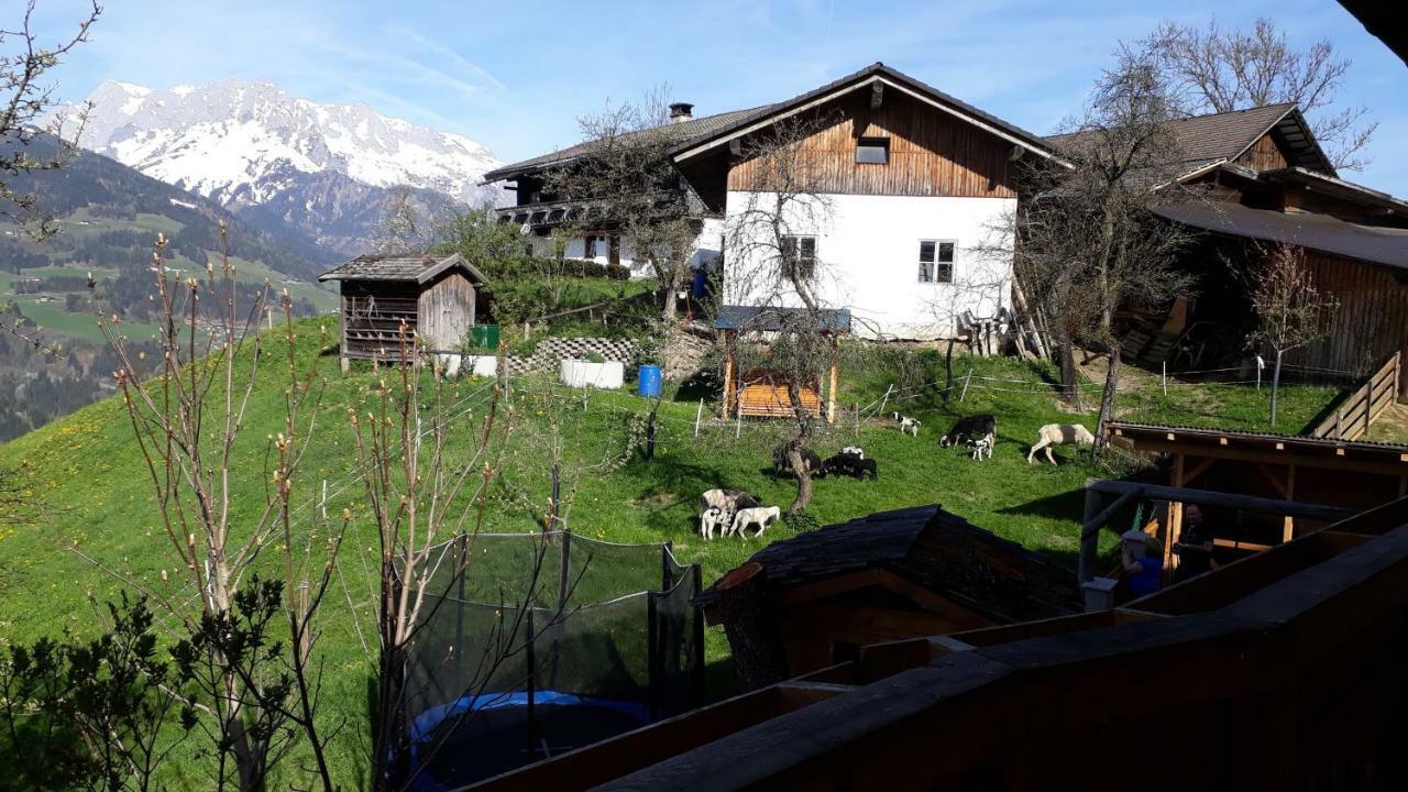 Landhaus Katharina Bischofshofen Extérieur photo