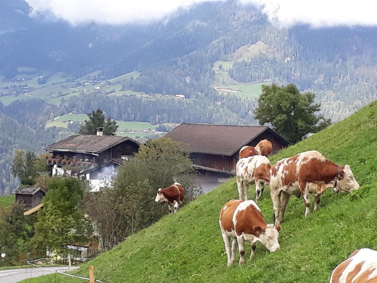 Landhaus Katharina Bischofshofen Extérieur photo