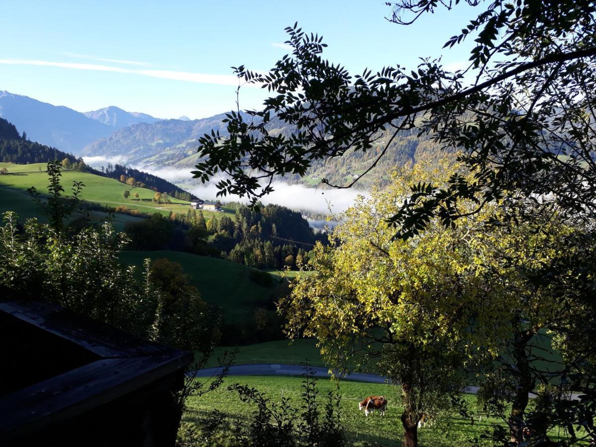 Landhaus Katharina Bischofshofen Extérieur photo